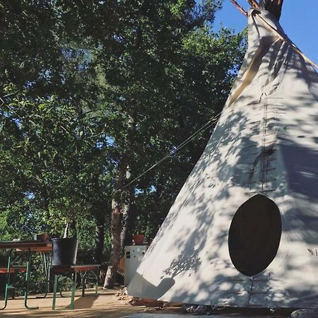 Tipi Lodge Dans La Foret Mimizan-Plage Exteriör bild
