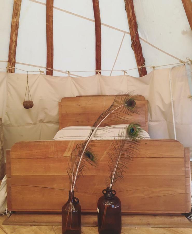 Tipi Lodge Dans La Foret Mimizan-Plage Exteriör bild