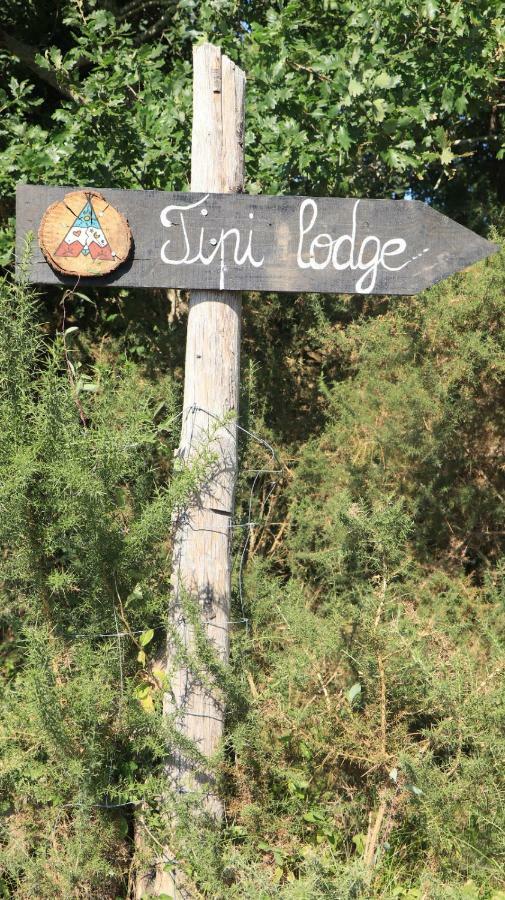 Tipi Lodge Dans La Foret Mimizan-Plage Exteriör bild