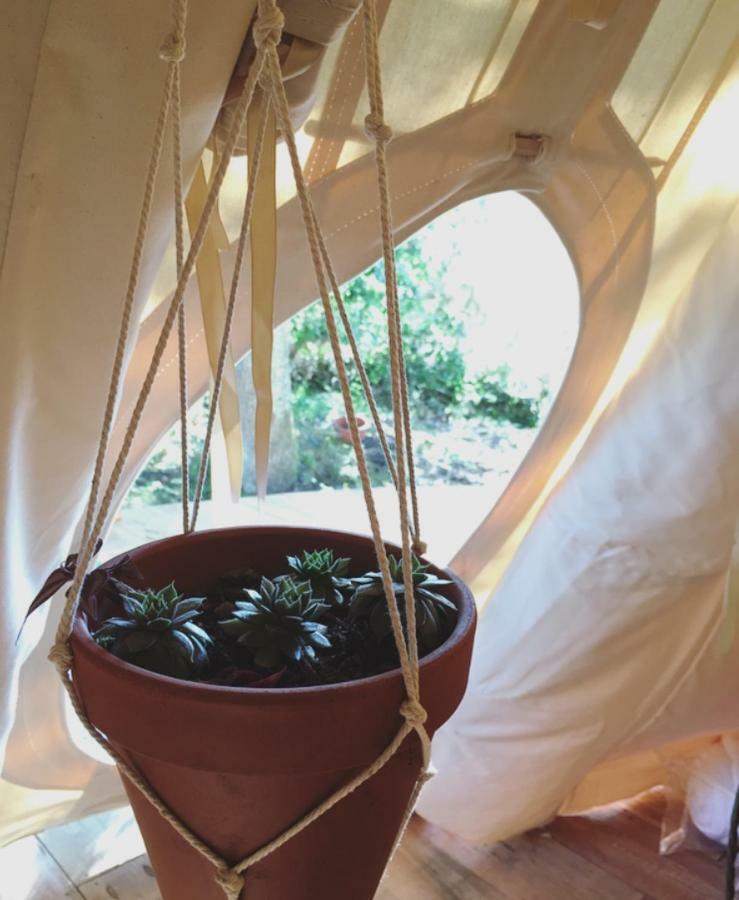Tipi Lodge Dans La Foret Mimizan-Plage Exteriör bild