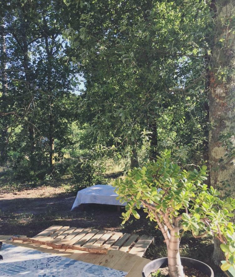 Tipi Lodge Dans La Foret Mimizan-Plage Exteriör bild