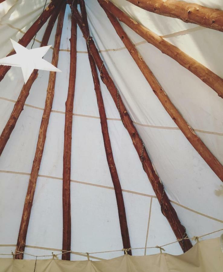 Tipi Lodge Dans La Foret Mimizan-Plage Exteriör bild