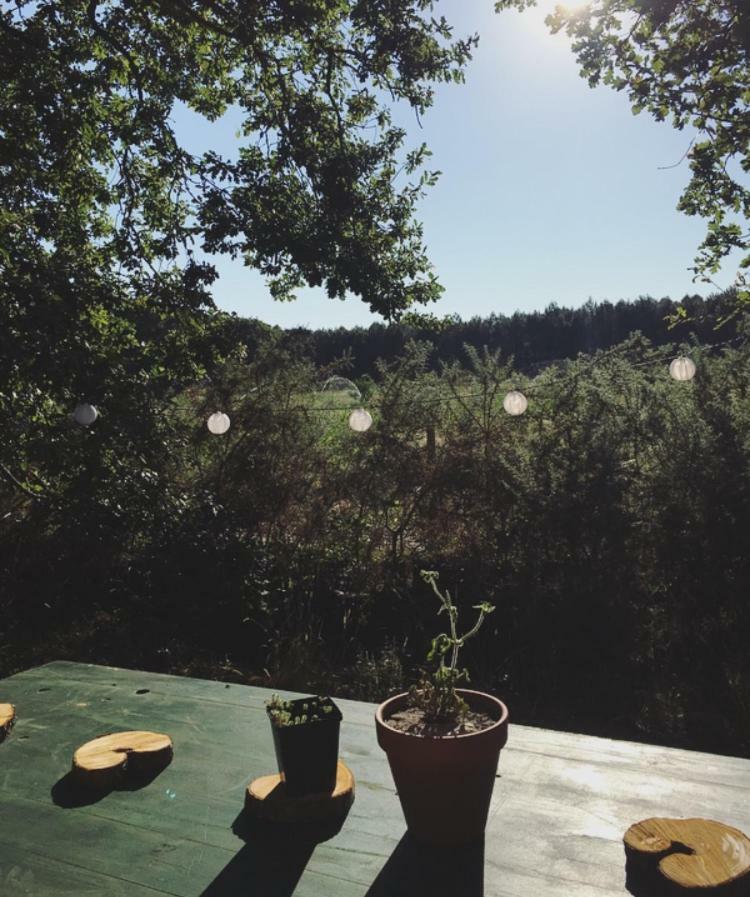 Tipi Lodge Dans La Foret Mimizan-Plage Exteriör bild